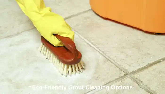 Eco-Friendly Grout Cleaning Options
