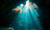 Belize Diving: Uncover Hidden Underwater Treasures Beyond the Blue Hole