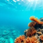 Snorkeling the Belize Barrier Reef: Top Locations and Wildlife