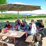 Yarrawood Estate: Discover Your Perfect Wine Journey