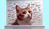 Cat Meme Guide: Tips for Feline Internet Stardom