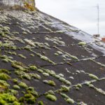 Slate Roof Cleaning Tips for Homeowners in Sydney